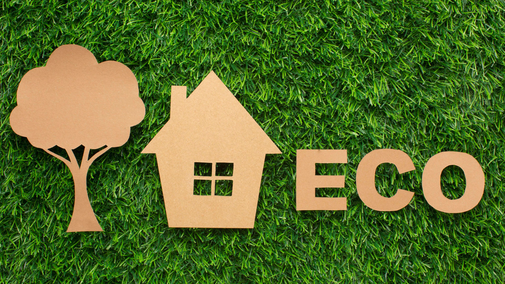 Guía definitiva para un hogar eco-eficiente