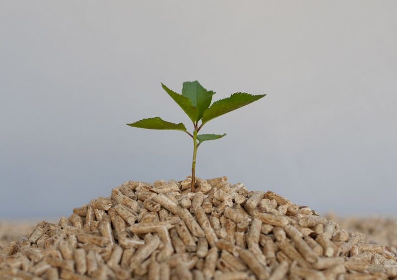 Ventajas del uso de pellets como fuente de energía